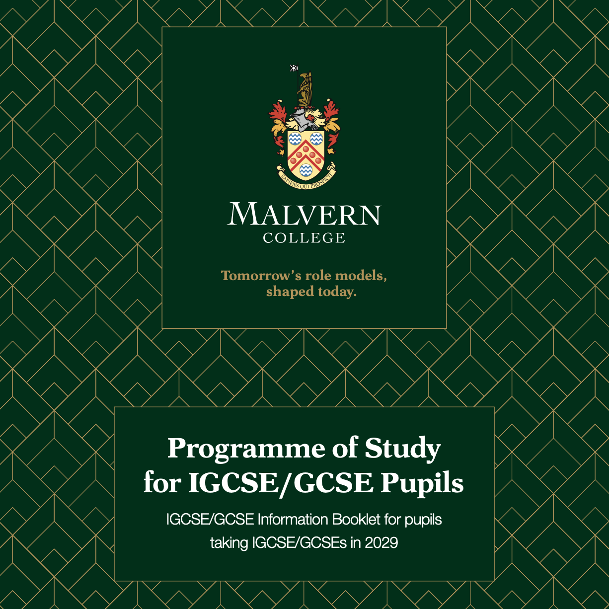 IGCSE/GCSE Programme of Study